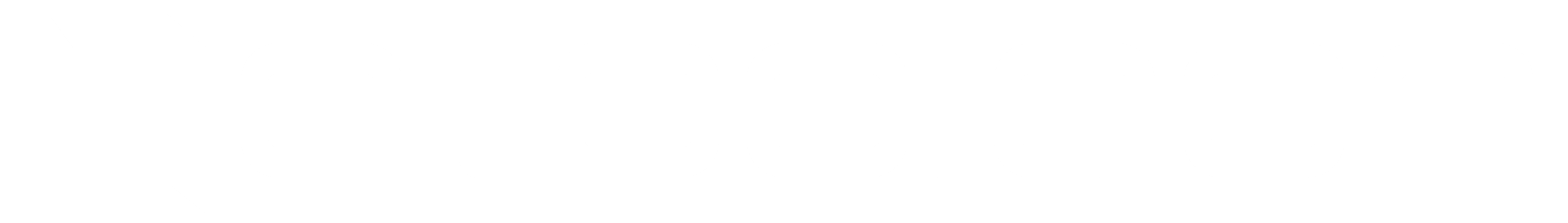 Netpoleon
